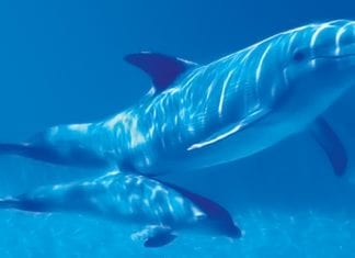 Aujourd’hui, nous voyons de grands évènements approcher pour l’humanité